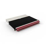 PATCHBOX.ONE Set Cat.6a UTP, incl. 24 cassettes with 0.8m cables, red, 8RU